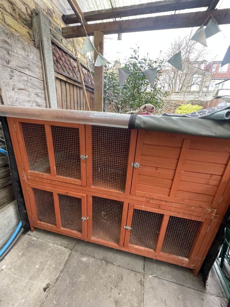 Free rabbit/guinea pig hutch + extras