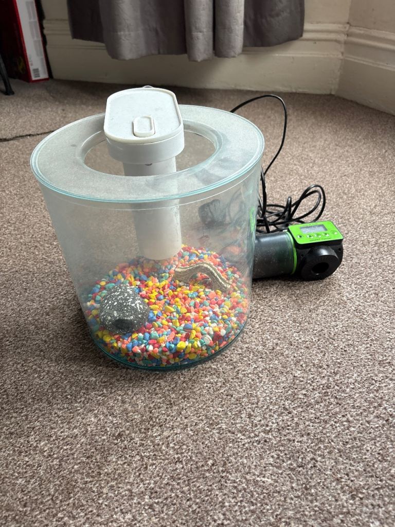 Fish tank and smart feeder