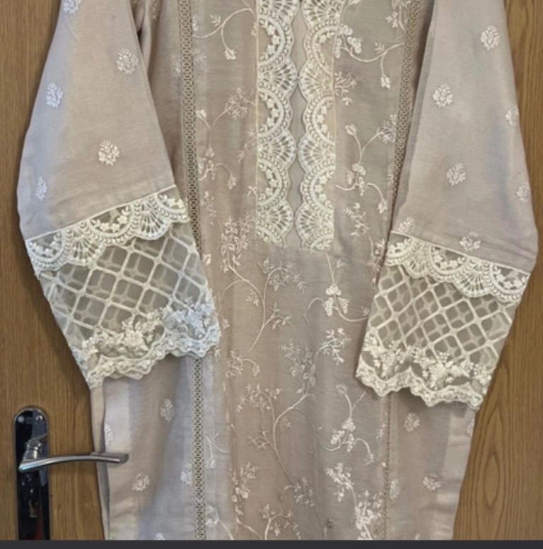 Partywear asian wear