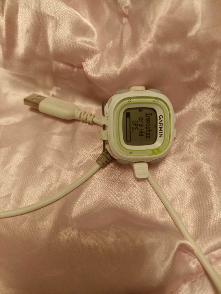 Garmin 