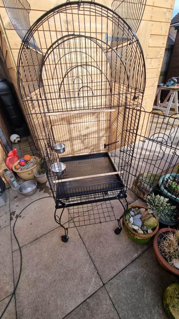 Large budgie or cocktail cage
