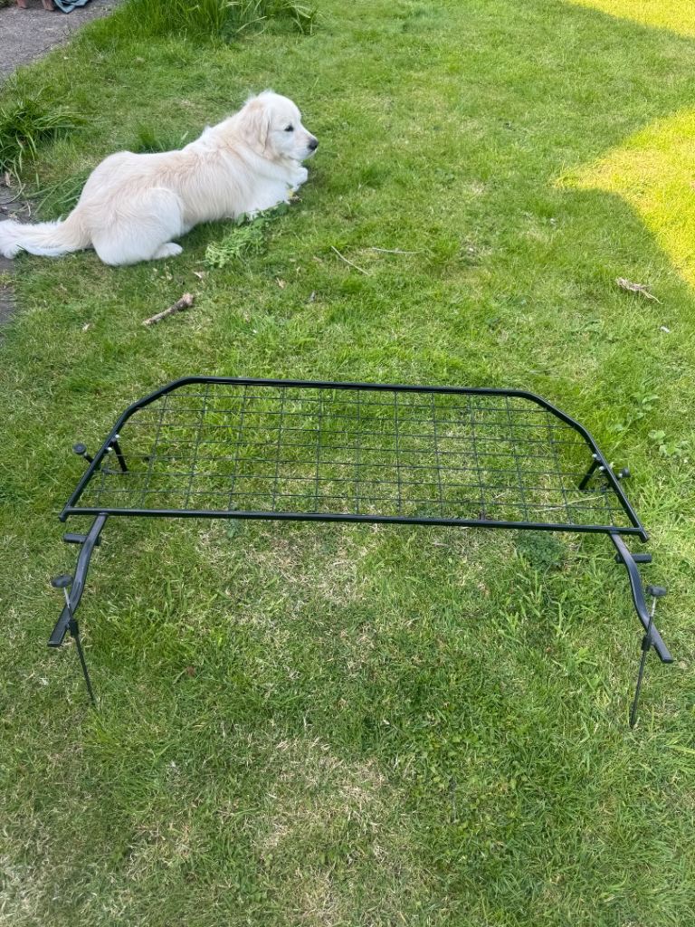 Land Rover Discovery Dog Gauard