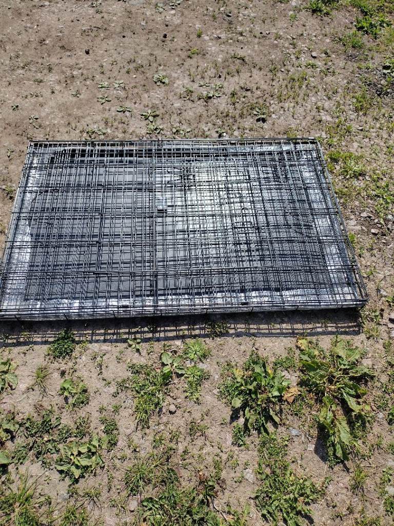 48", Large Dog Crate, Cage or Carrier lol