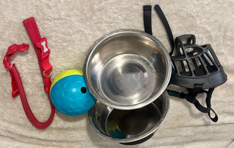 Silver Dogs Feeding Bowls,Collar, Muzzle & Treat Ball 