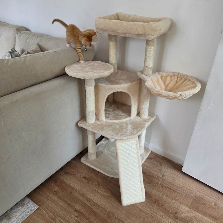 Cat post 
