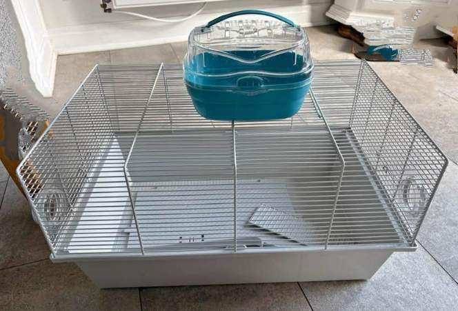 Large Pet Cage with Small Blue Carrier