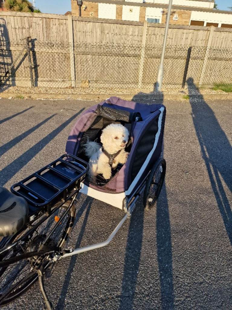 Bike Pet Carrier 