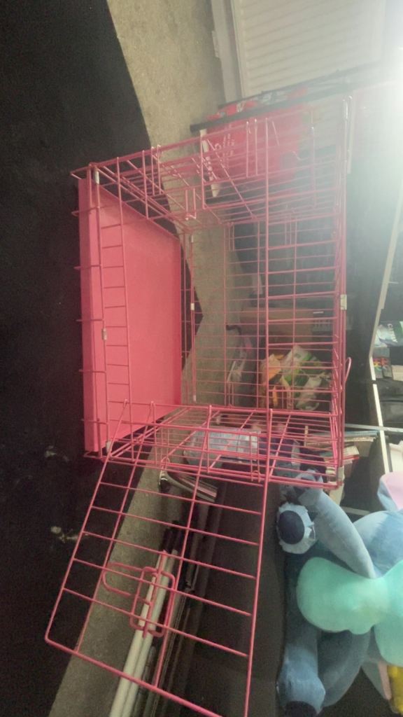 Pink collapsible medium dog crate