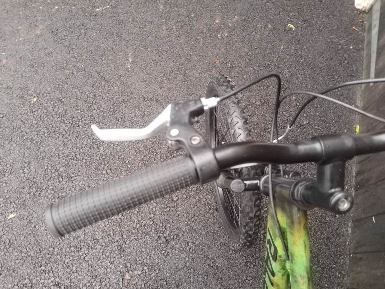 A fully reconditioned kids Raleigh mountain bike 20" wheels 