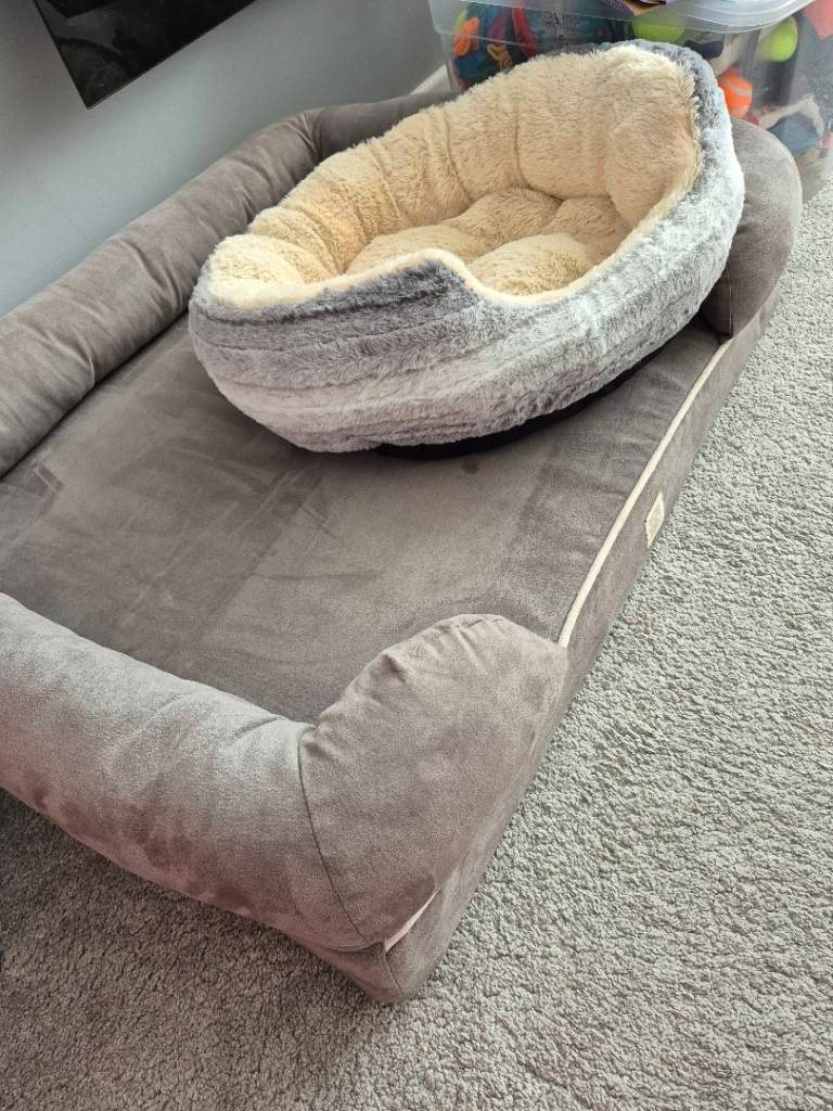 Small and large dog beds. 