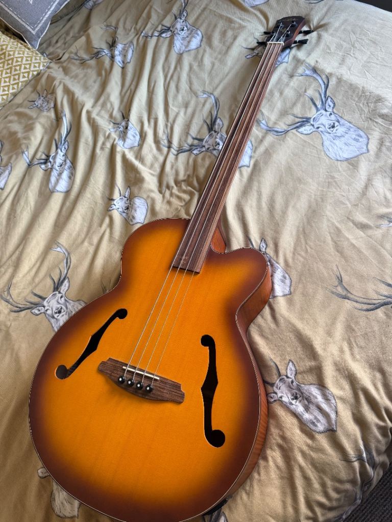 Aria electro acoustic fretless bass guitar
