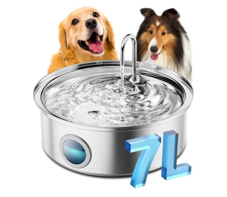 Dog Water Fountain 