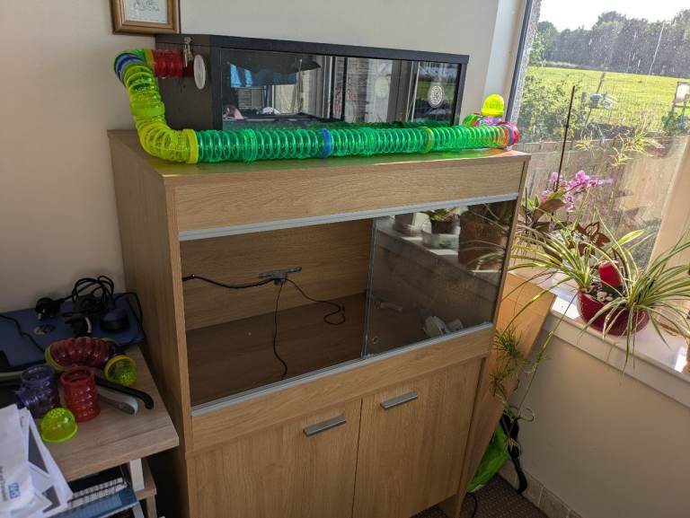 Snake Vivarium 