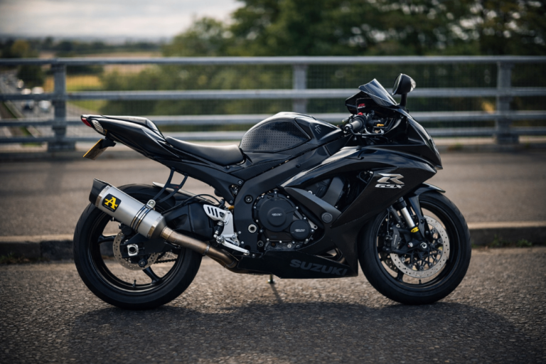 Suzuki GSX-R 750 2010 L0 GSXR
