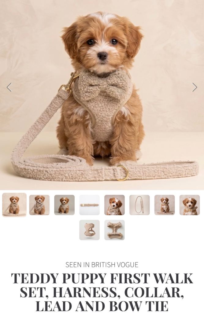 Posh Poos Harness set