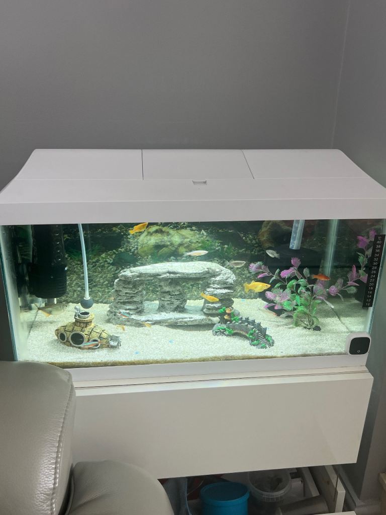 White Fish Tank Aquarium with Stand – Good Condition