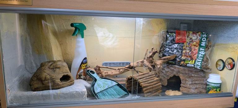 Gecko Lizard Vivarium Habitat (Fully Working) with Accessories 