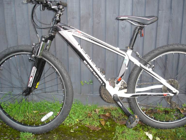 saracen mountain bike