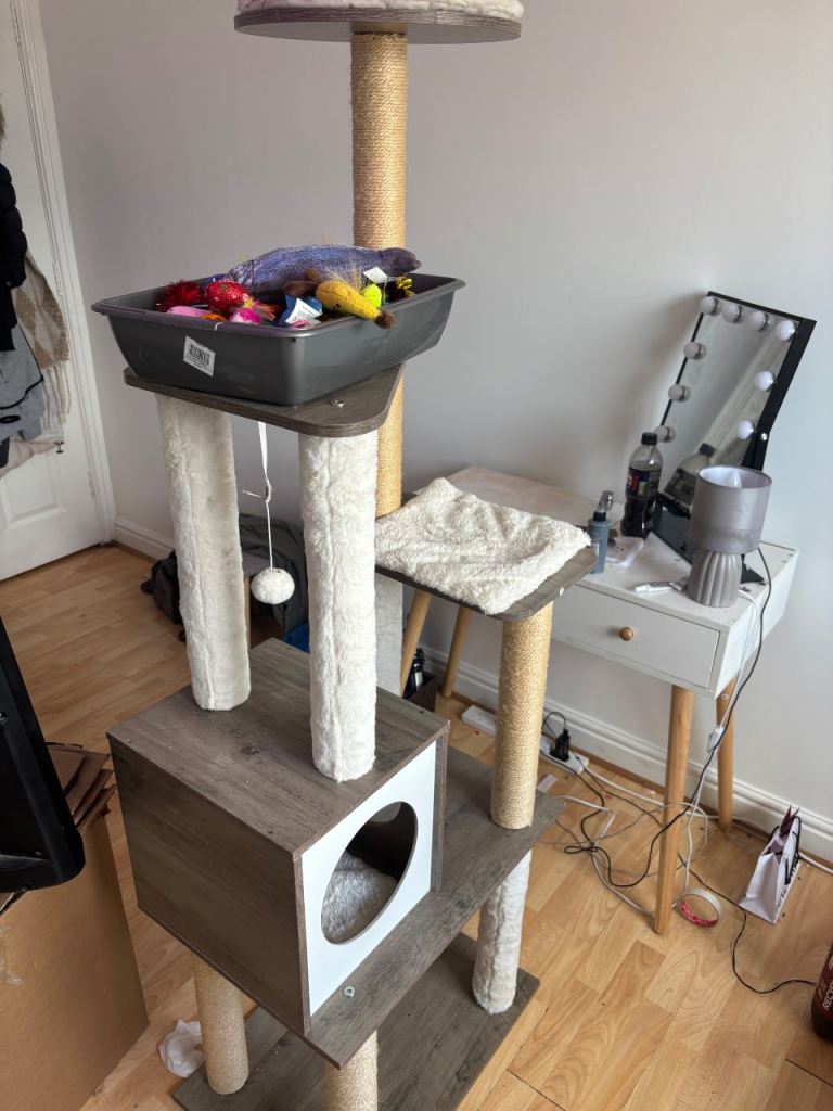 Cat post/toys