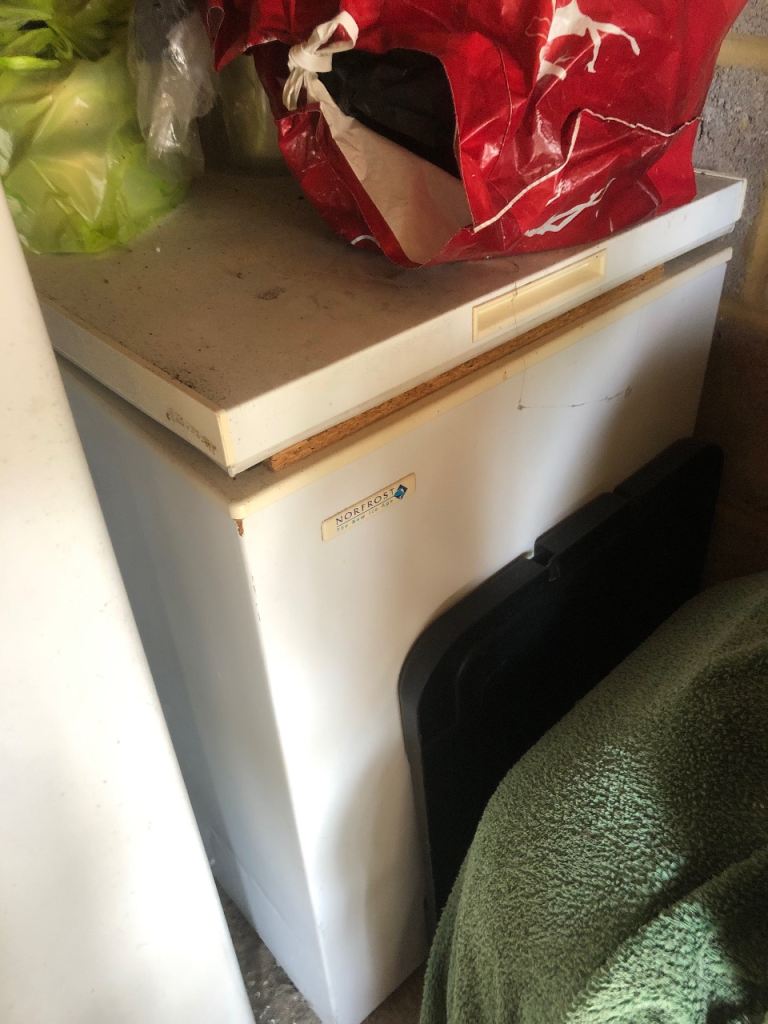 Chest Freezer 