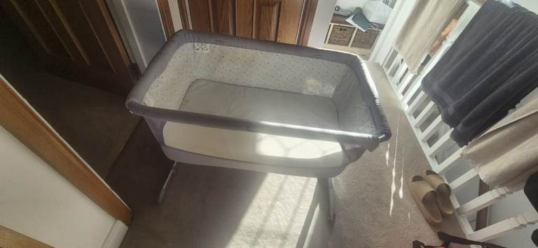 Chico Next to Me, FREE