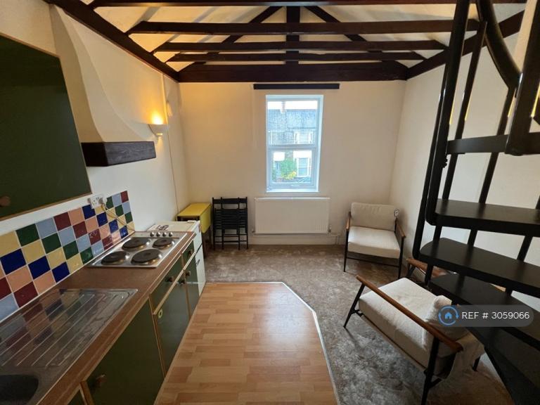 Studio flat in The Promenade, Swansea, SA1 (#3059066)