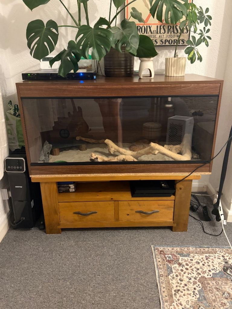 4x2x2 Vivarium with everything included