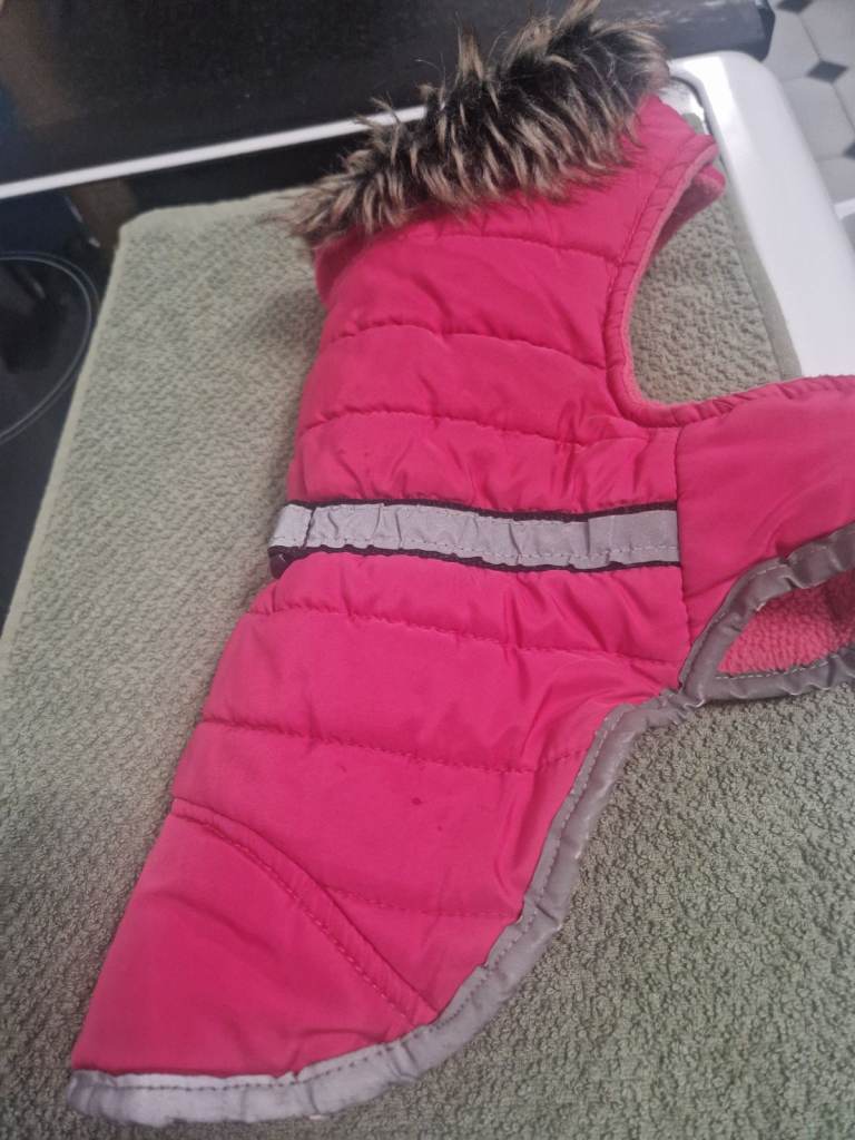 Small dog coat 