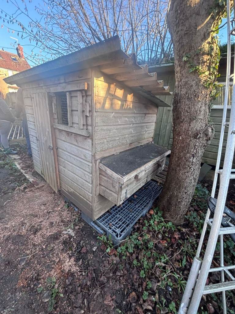 Chicken coops and large run