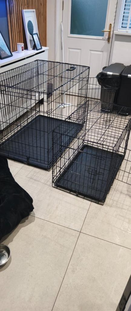 2 dog cages  priced each