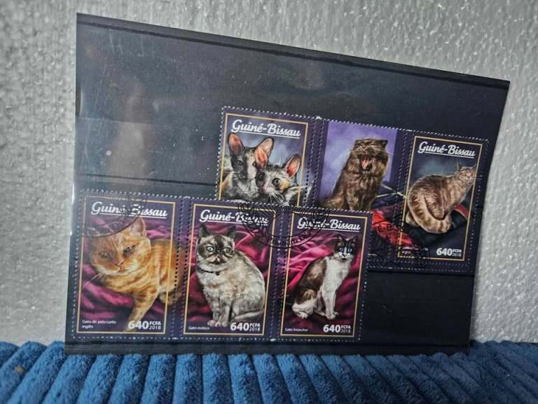 6 x postal stamps cats, Guinea