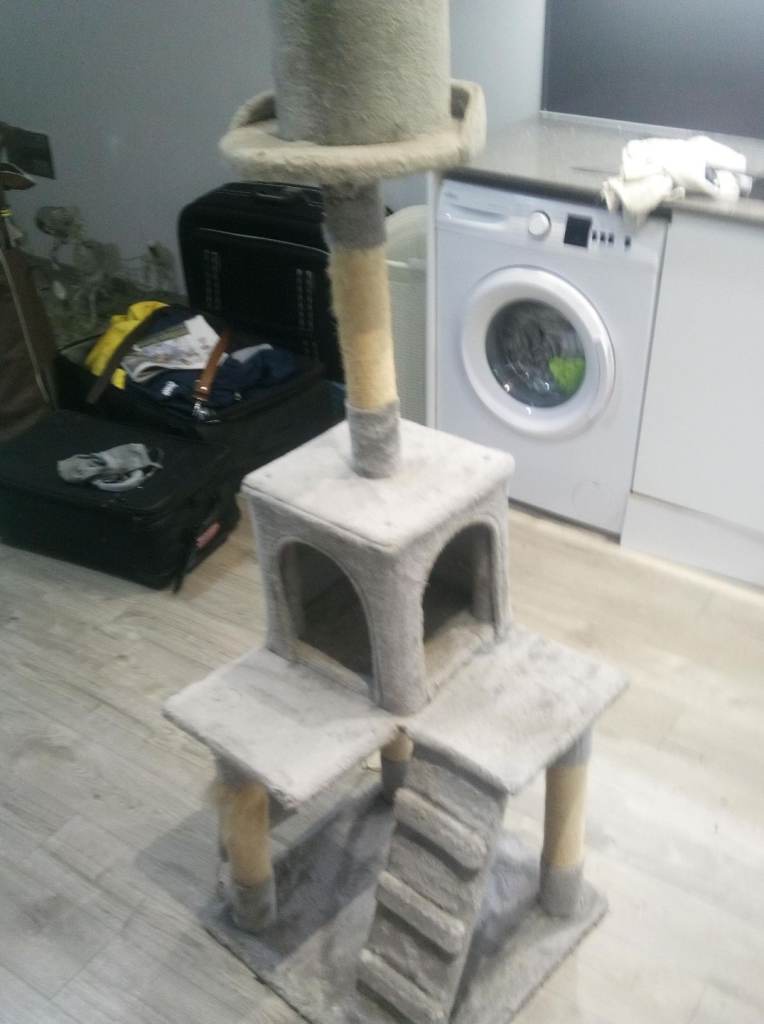 CAT TOY AND EXCERCISE POST IN GOOD CLEAN CONDITION