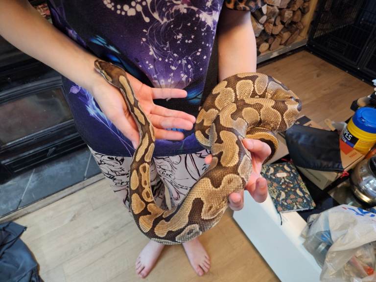 Enchi fire