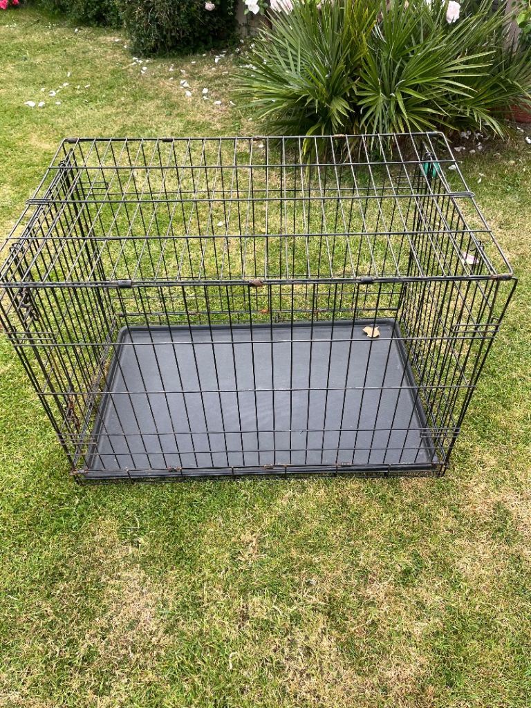 Black dog cage 