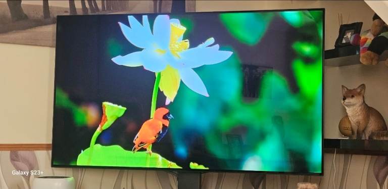 Lg cx 55 inch