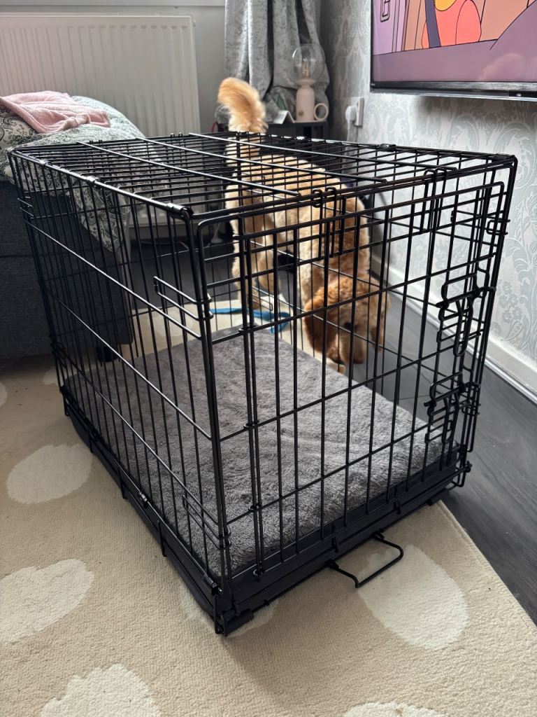 Dog crate with mattress ( puppy/ small dog ) 