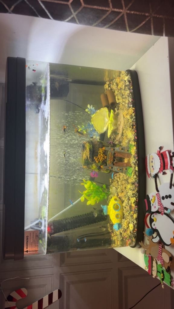 64 litre tropical tank + Fish 