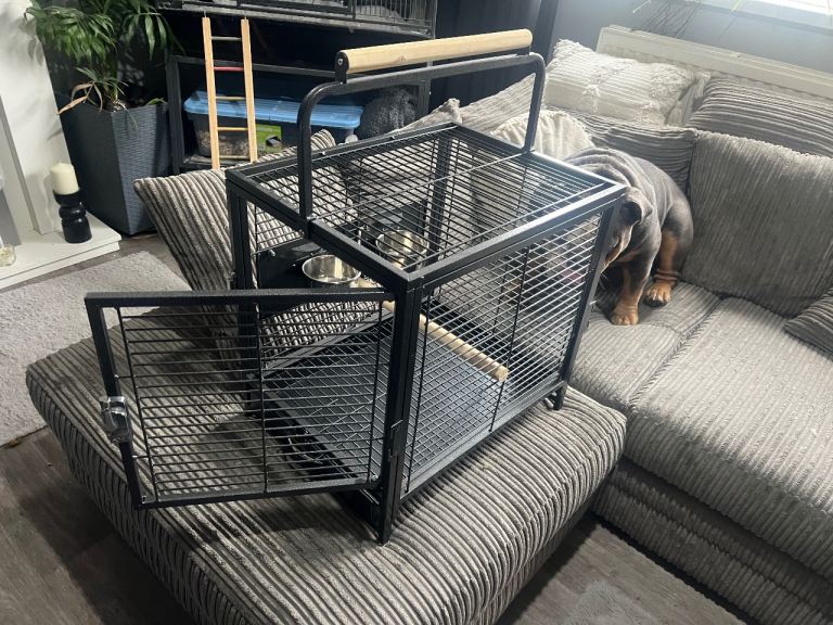 parrot travel cage 