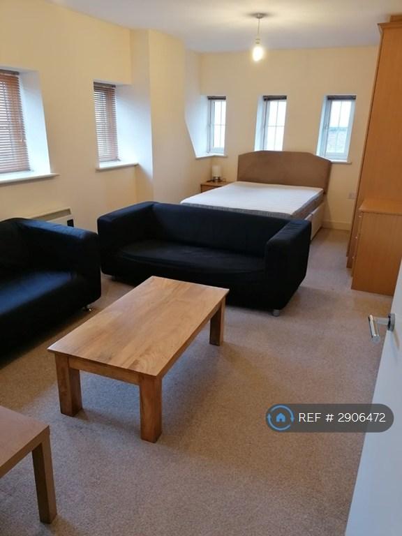 Studio flat in Mcilroys Building, Reading, RG1 (#2906472)