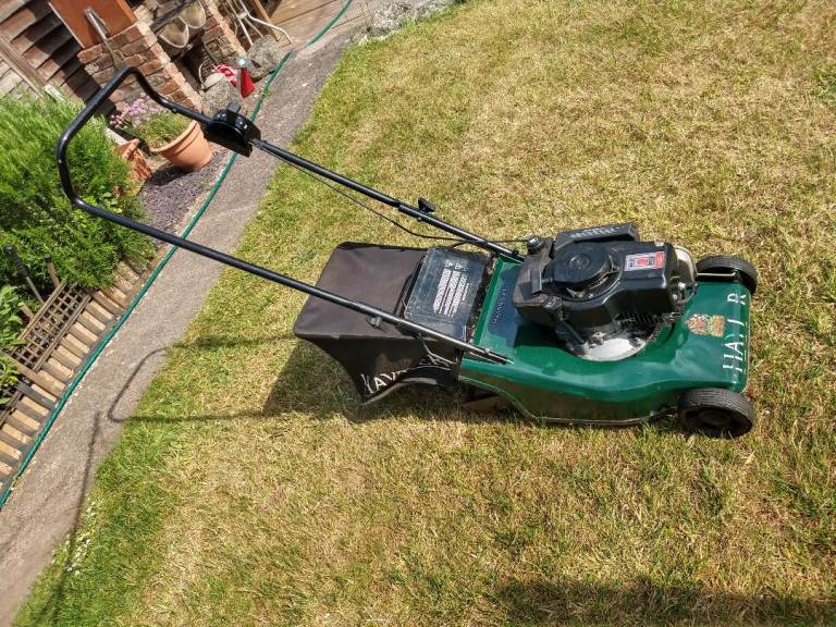 HAYTER HARRIER 41 PETROL MOWER