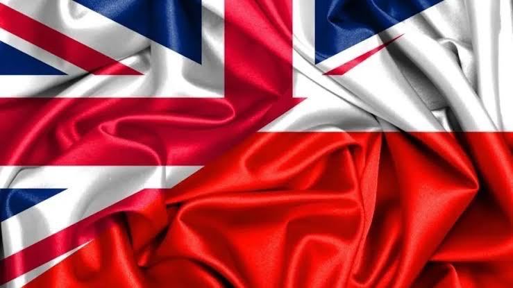My English for your Polish 