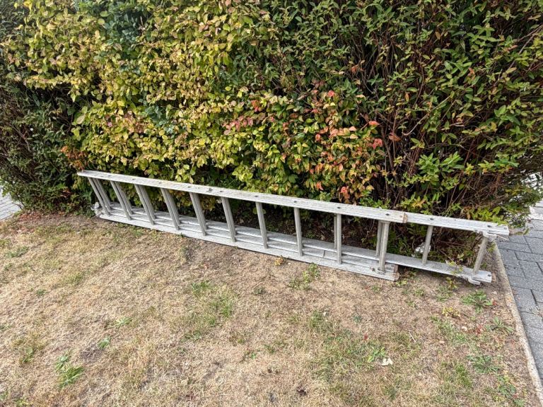 Free Extension Ladder – Collection Only