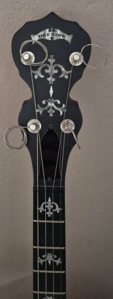 Sierra tenor banjo 