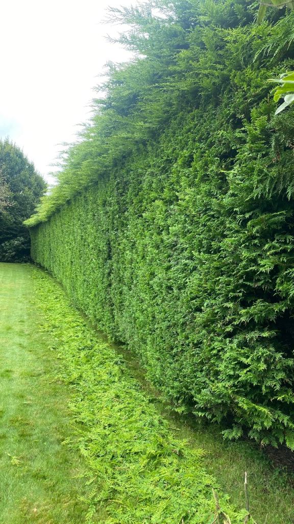 Landscaping & Garden Care 