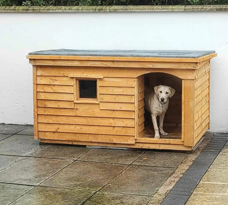 Brand new XL kennels with porch & window 