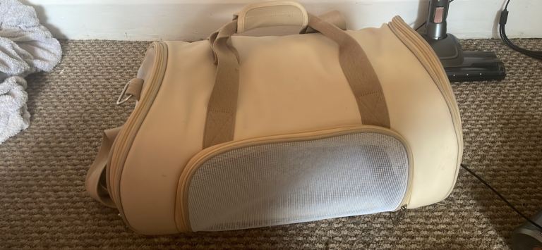 Cat carrier . 