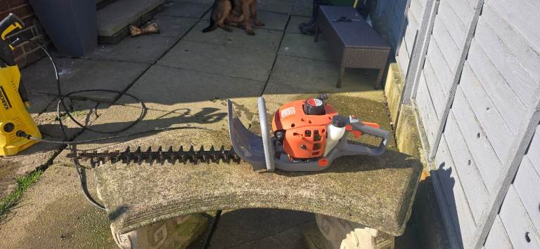 Petrol hedge cutters