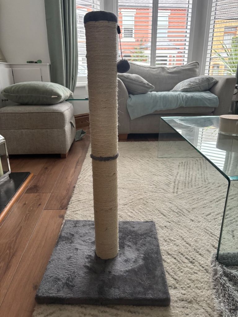 Cat scratch post
