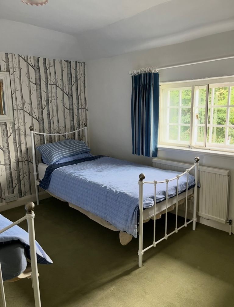 Pair of traditional single beds.