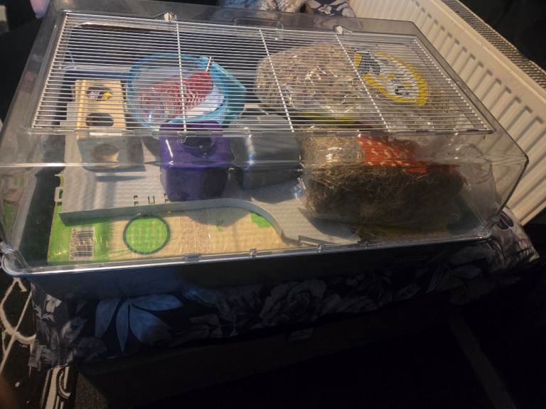 Hamster cage